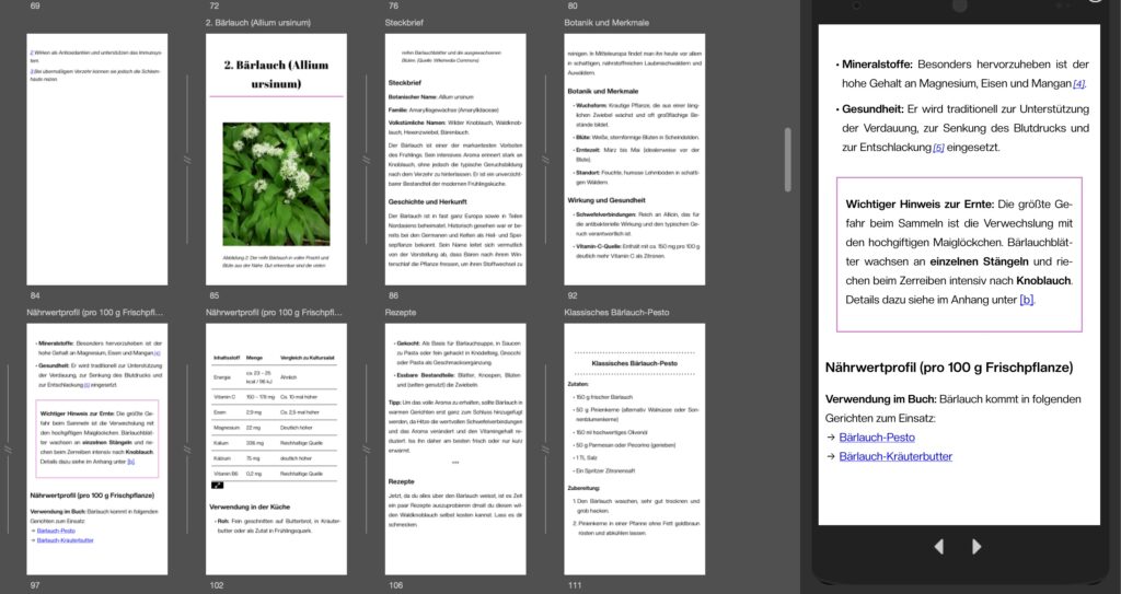 Screenshot des EPUBs über Kindle Preview 3 im Mobilgeräte-Modus. Man sieht das gleiche Kapitel und die gleichen Elemente, wie der Vergleich zur App von Apple Books.