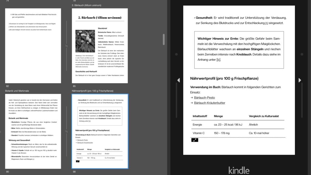 Screenshot des EPUBs aus Kindle Preview 3 im E-Reader-Modus. Man sieht das gleiche Kapitel und die gleichen Elemente, wie der Vergleich zur App von Apple Books.