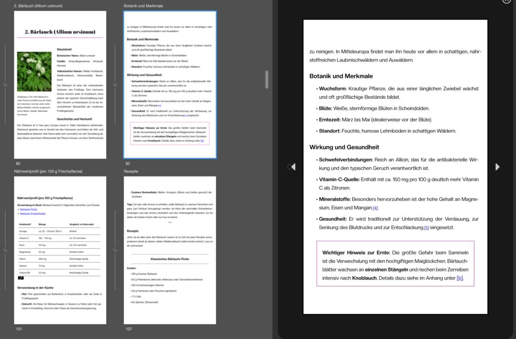 Darstellung von EPUB aus der Case Study auf Tablets im Kindle