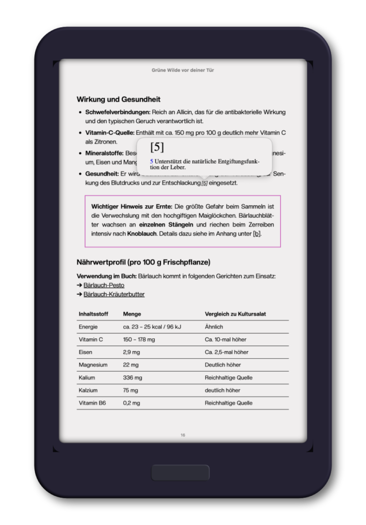 Illustration eines ebook readers. Der Bildschirmbereich enthält einem Seitenauszug aus einem Testbuch für Praxisbeispiele der Case Study zum EPUB 3.3.
