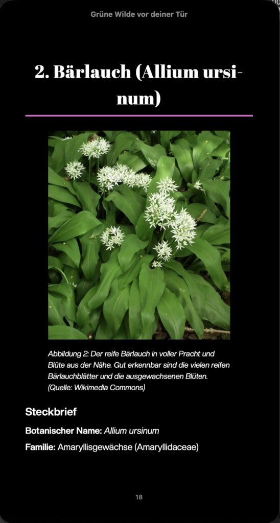 Zweiter Screenshot einer Seite der Vorschau des EPUBs wie es auf Mobilgeräten in Apple Books aussieht. Die Vorschau enthält die Überschrift eins, die Bildbeschriftung und eine Überschrift zwei.