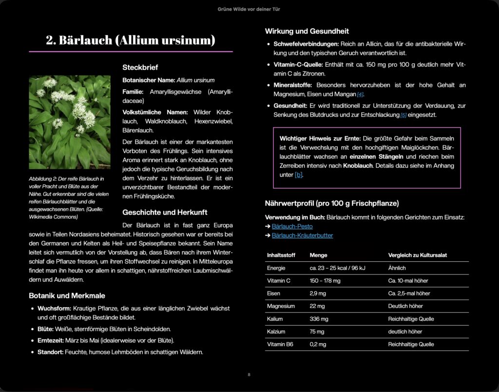 Screenshot von zwei Seiten der Vorschau des EPUBs wie es auf Tablets in der App Apple Books aussieht. Die Vorschau enthält exakt die selben Elemente wie in der Vorschau der Mobilansicht zum Vergleich bei veränderten Screengrößen.